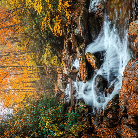Cascading Stream in Autumn Forest 500 Jigsaw Puzzle 3D Modell