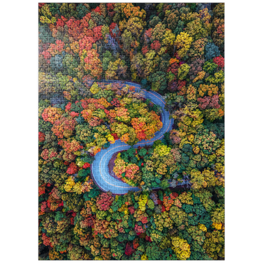 puzzleplate Winding Road Through Dense Autumn Forest 1000 Jigsaw Puzzle