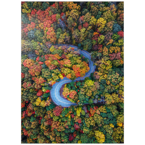 puzzleplate Winding Road Through Dense Autumn Forest 1000 Jigsaw Puzzle