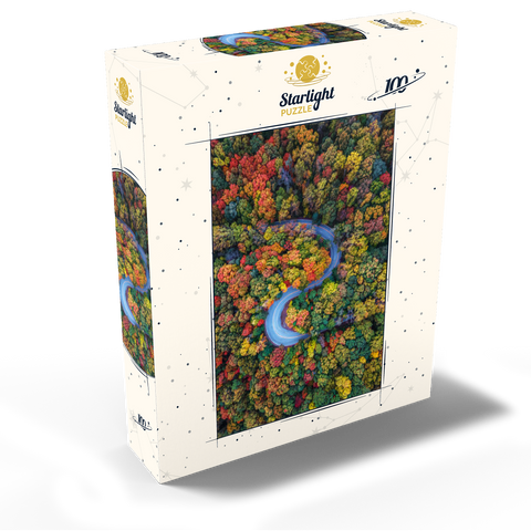 Winding Road Through Dense Autumn Forest 100 Jigsaw Puzzle box view2