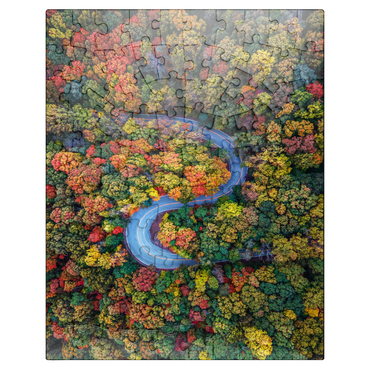 puzzleplate Winding Road Through Dense Autumn Forest 100 Jigsaw Puzzle
