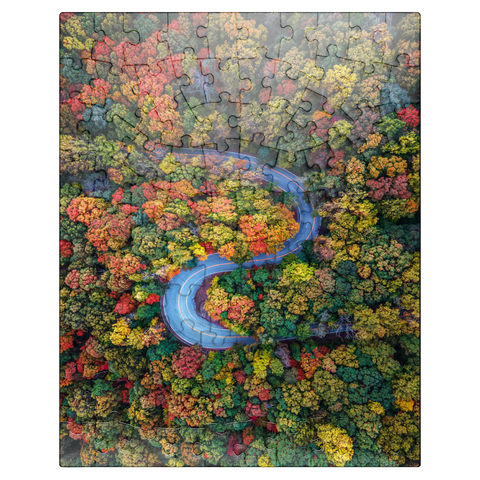 puzzleplate Winding Road Through Dense Autumn Forest 100 Jigsaw Puzzle
