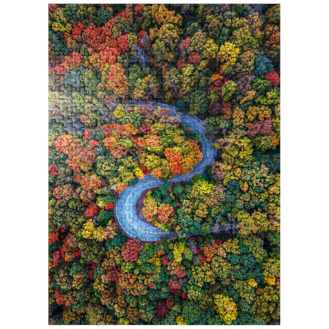 puzzleplate Winding Road Through Dense Autumn Forest 500 Jigsaw Puzzle