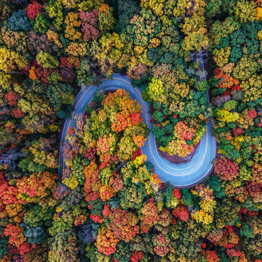 Winding Road Through Dense Autumn Forest 500 Jigsaw Puzzle 3D Modell