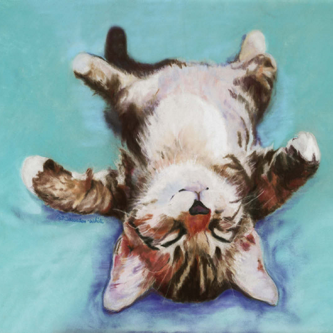 Relaxed Kitten on Turquoise Background 100 Jigsaw Puzzle 3D Modell