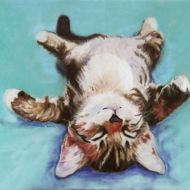 Relaxed Kitten on Turquoise Background 500 Jigsaw Puzzle 3D Modell