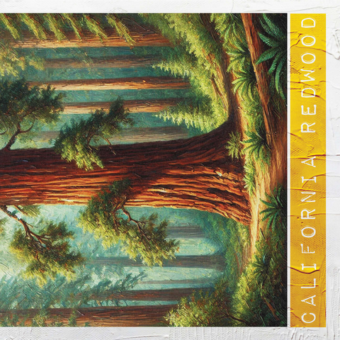 State Trees Series: California, California Redwood 1000 Jigsaw Puzzle 3D Modell