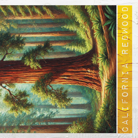 State Trees Series: California, California Redwood 500 Jigsaw Puzzle 3D Modell