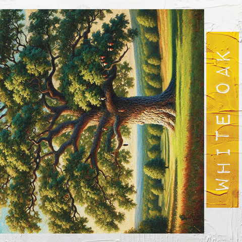 State Trees Series: Connecticut, White Oak 500 Jigsaw Puzzle 3D Modell