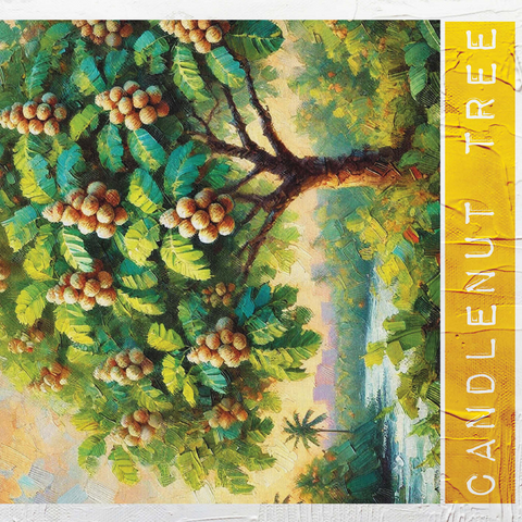 State Trees Series: Hawaii, Candlenut Tree 500 Jigsaw Puzzle 3D Modell