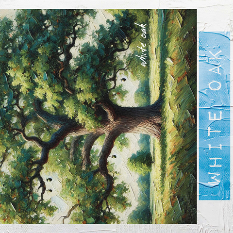 State Trees Series: Illinois, White Oak 1000 Jigsaw Puzzle 3D Modell