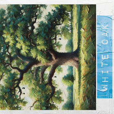 State Trees Series: Illinois, White Oak 500 Jigsaw Puzzle 3D Modell