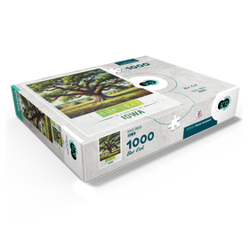 1000