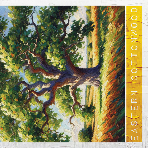 State Trees Series: Kansas, Eastern Cottonwood 1000 Jigsaw Puzzle 3D Modell