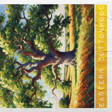 State Trees Series: Kansas, Eastern Cottonwood 500 Jigsaw Puzzle 3D Modell