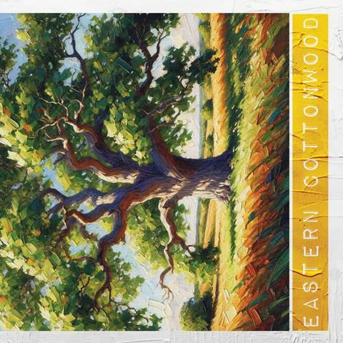 State Trees Series: Kansas, Eastern Cottonwood 500 Jigsaw Puzzle 3D Modell