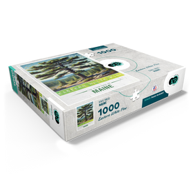 1000