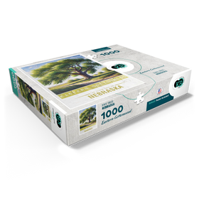 1000