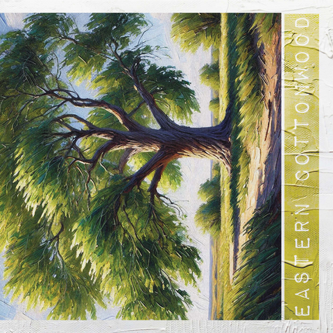 State Trees Series: Nebraska, Eastern Cottonwood 1000 Jigsaw Puzzle 3D Modell