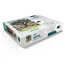 1000