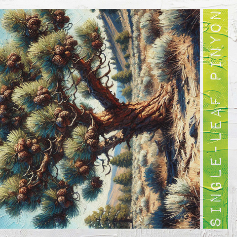 State Trees Series: Nevada, Single-Leaf Pinyon 500 Jigsaw Puzzle 3D Modell