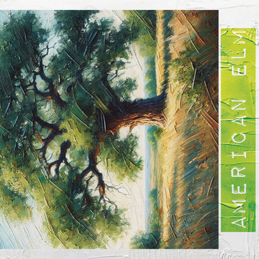 State Trees Series: North Dakota, American Elm 1000 Jigsaw Puzzle 3D Modell