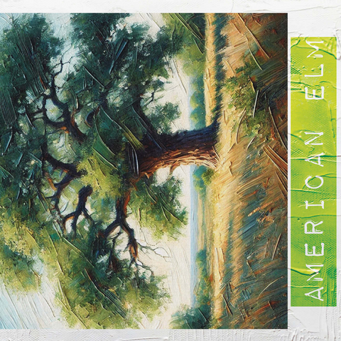 State Trees Series: North Dakota, American Elm 500 Jigsaw Puzzle 3D Modell