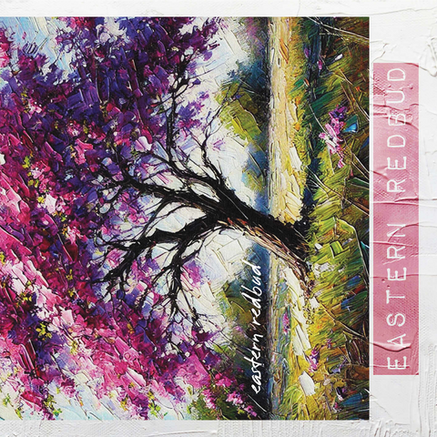 State Trees Series: Oklahoma, Eastern Redbud 1000 Jigsaw Puzzle 3D Modell