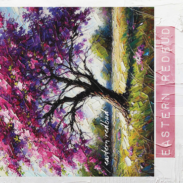 State Trees Series: Oklahoma, Eastern Redbud 500 Jigsaw Puzzle 3D Modell
