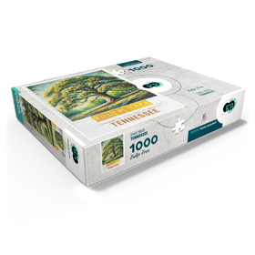 1000