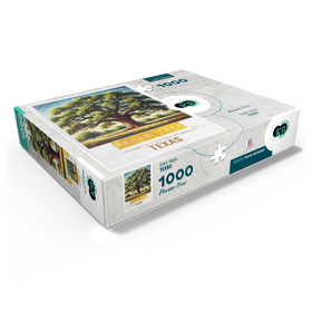 1000