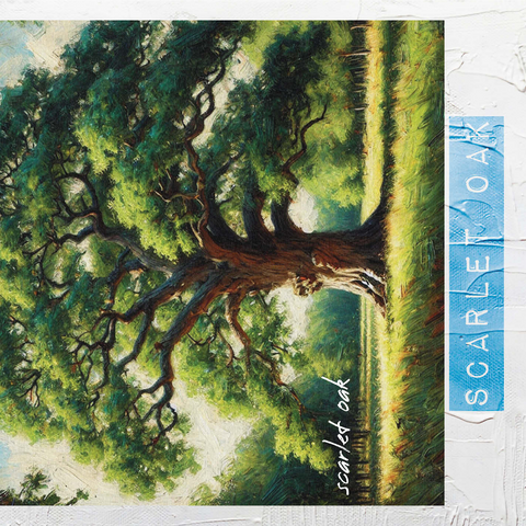 State Trees Series: Washington D.C., Scarlet Oak 1000 Jigsaw Puzzle 3D Modell