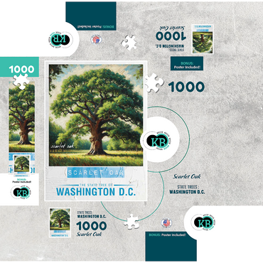 State Trees Series: Washington D.C., Scarlet Oak 1000 Jigsaw Puzzle box 3D Modell