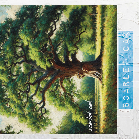 State Trees Series: Washington D.C., Scarlet Oak 500 Jigsaw Puzzle 3D Modell