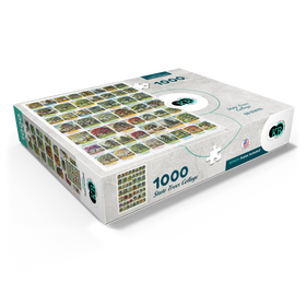 1000