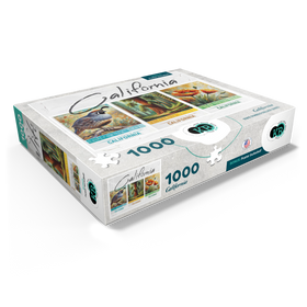 1000