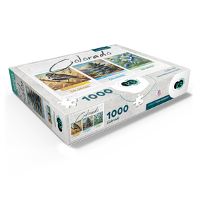 1000
