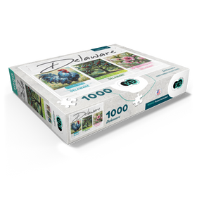 1000