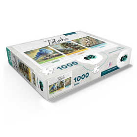 1000