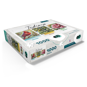 1000