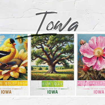 Iowa: Bird, Tree, Flower- State Symbols Collage Series 500 Jigsaw Puzzle 3D Modell