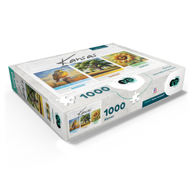 1000