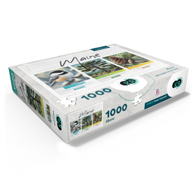 1000