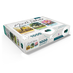 1000