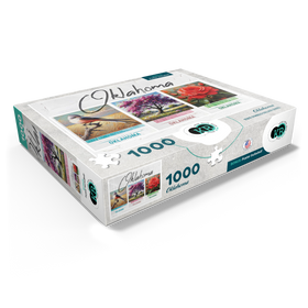 1000