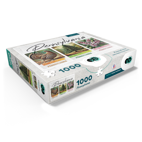 1000