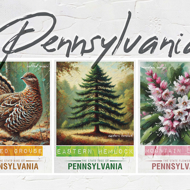 Pennsylvania: Bird, Tree, Flower- State Symbols Collage Series 500 Jigsaw Puzzle 3D Modell