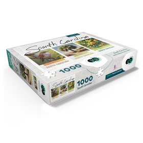 1000
