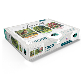 1000