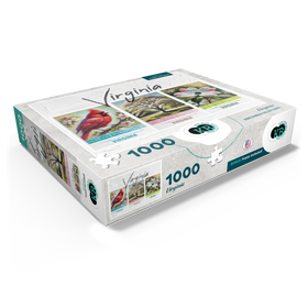 1000
